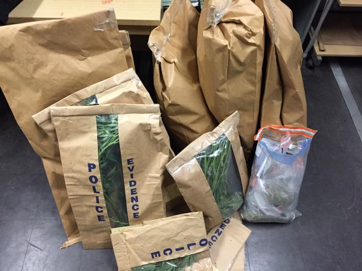 Neighbourhood officers discovered and seized a large amount of cannabis following some intelligence tonight. #result