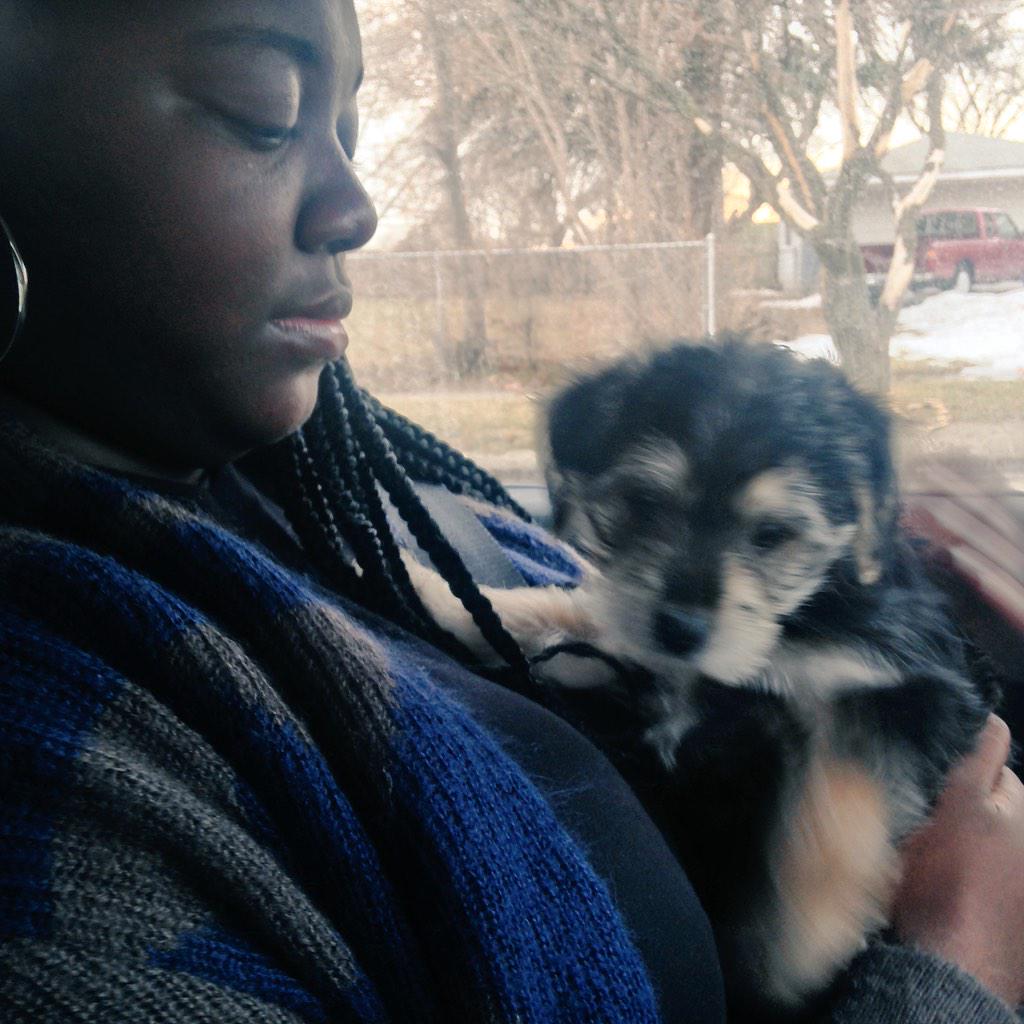 That_PianoGuy's tweet photo. Jazz and Ziggy. I'll have my new pup next week! http://t.co/NbQyqW1Bpg