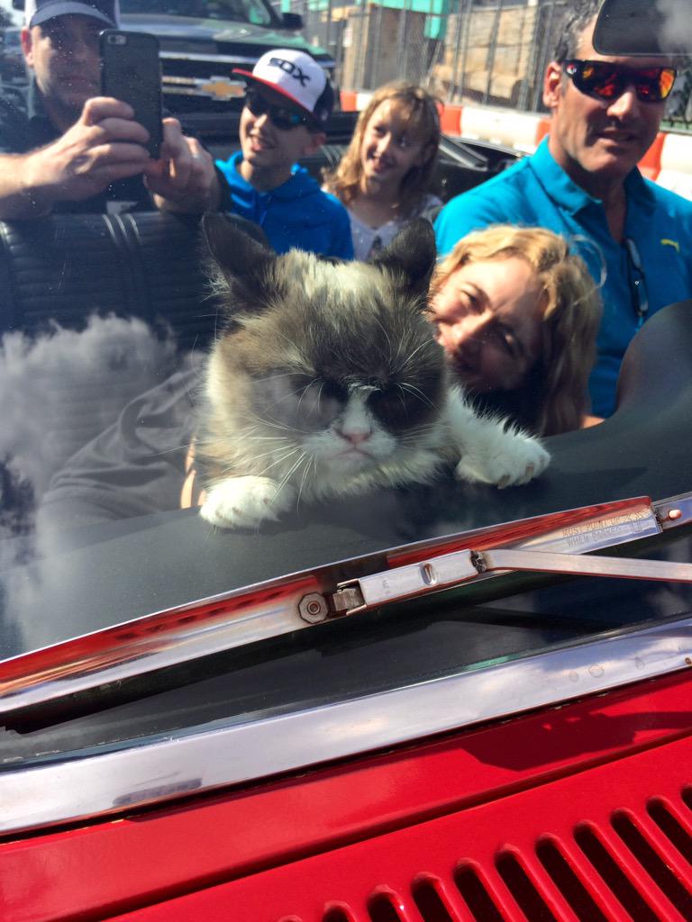 CLURRizHURR's tweet photo. When you're waiting for @Whataburger to pick you up and then @RealGrumpyCat pulls up #SXSW2015 @SXSWhoa @CameronAtSX http://t.co/oSzAPLAcdm