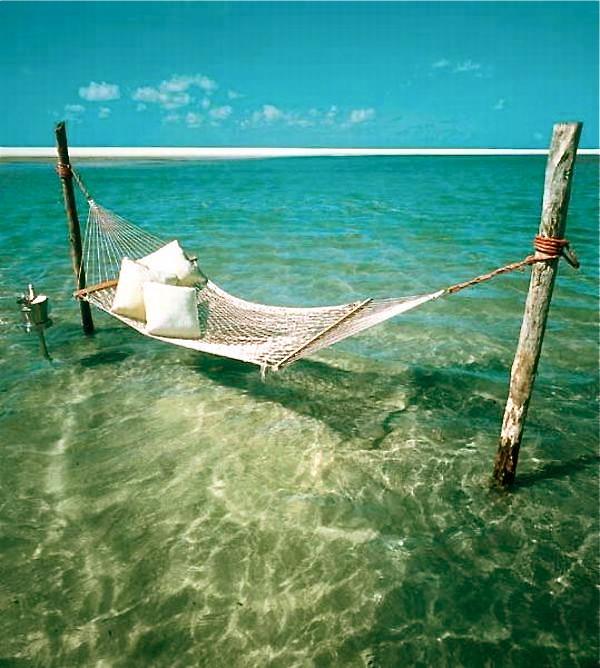 LivingFlorida's tweet photo. A small island with a big view- Little Gasparilla Island http://t.co/XF1zbRRUIG #Florida #Islandlife http://t.co/JcGJ0xpTPN