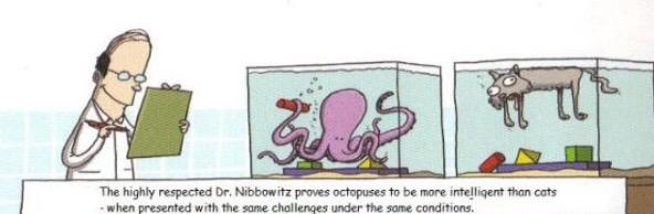 Misadventures in animal cognition