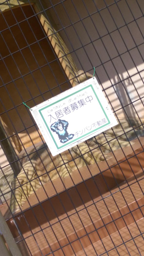 蒼空sora ゆずno0675 日本平動物園の看板いちいち面白いwww Http T Co P7piy37yom