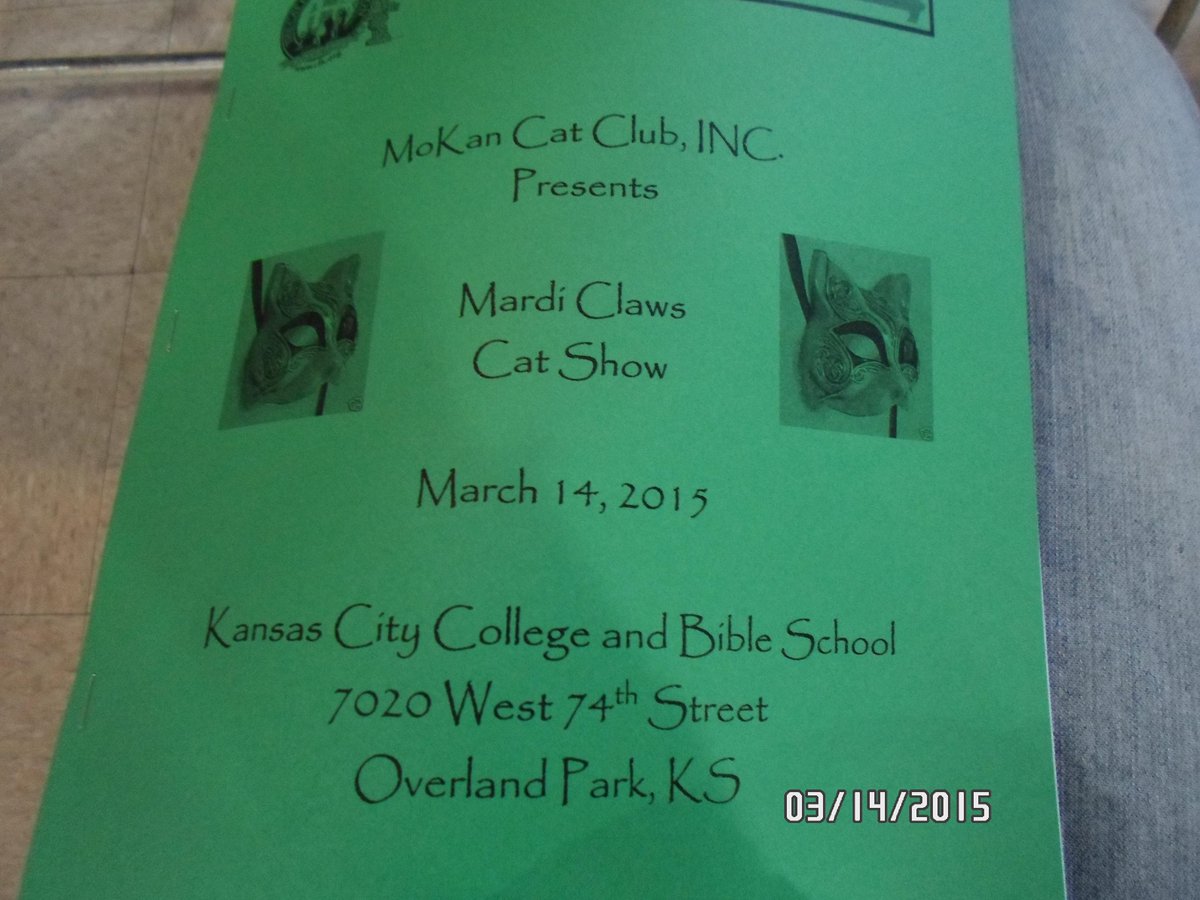 kittygirl4242's tweet photo. We took @TigerJackCat to the cat show today in Overland Park, KS. Jack got 1st place on 1 of 6 rings! #GoJackBuddy http://t.co/HqjhJp7UR5