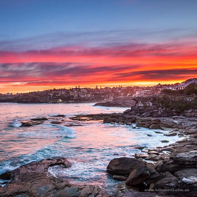 End of #Autumn days. #Mackenzies #Sydney #IG  ift.tt/1v7LIuZ