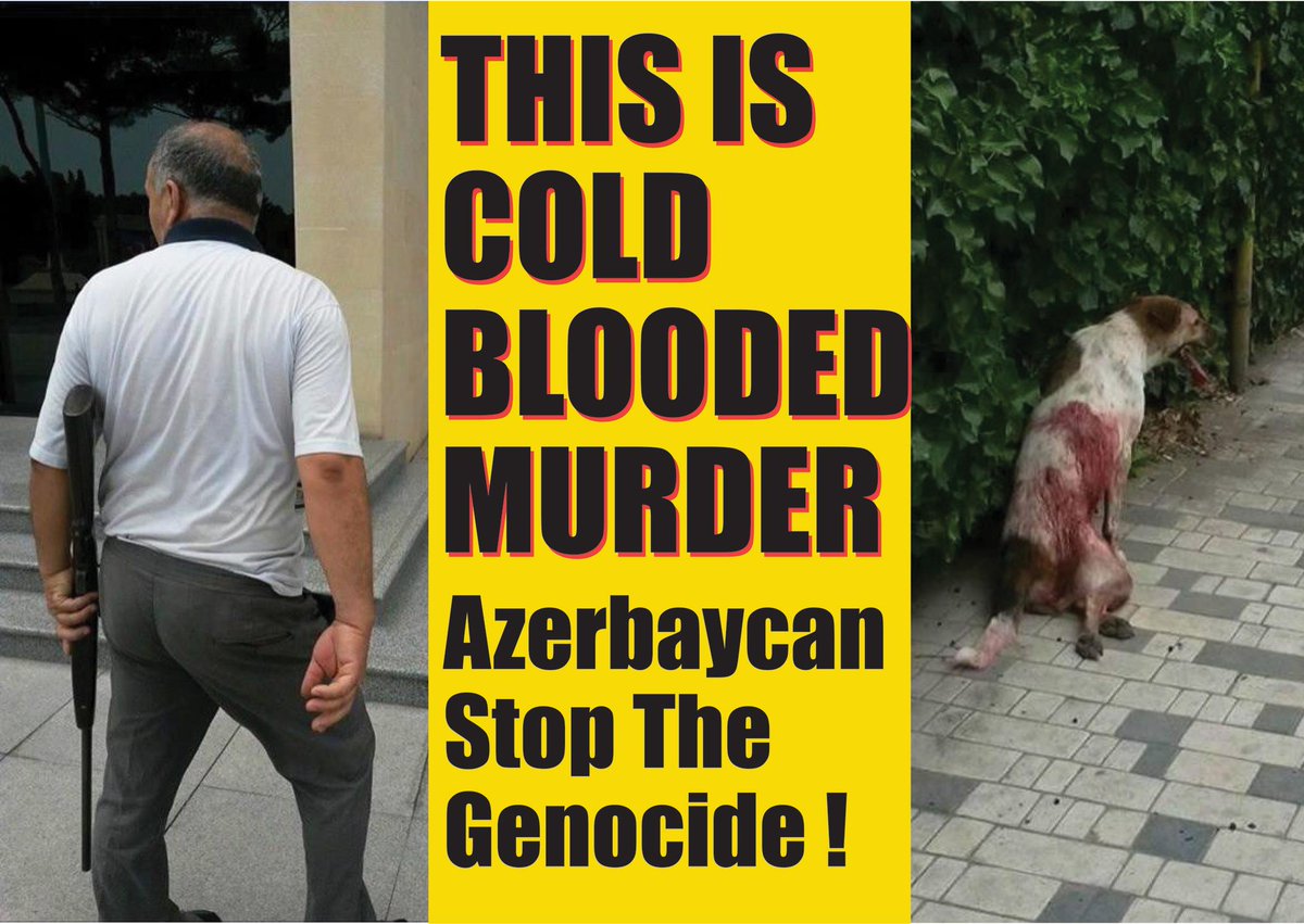 yeryuzuozgurluk's tweet photo. #boycott2015EuropeanGames #Baku2015
#STOPKILLINGANIMALS #DOGMASSACRE
#stopkillingtryliving #dogburning #azerbaijan http://t.co/WXNg5yYuJR