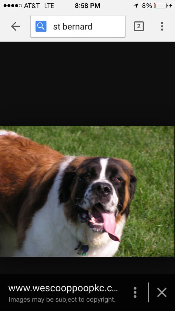 TheSloopSeanB's tweet image. Help Me @mophie ! #mophieRescue