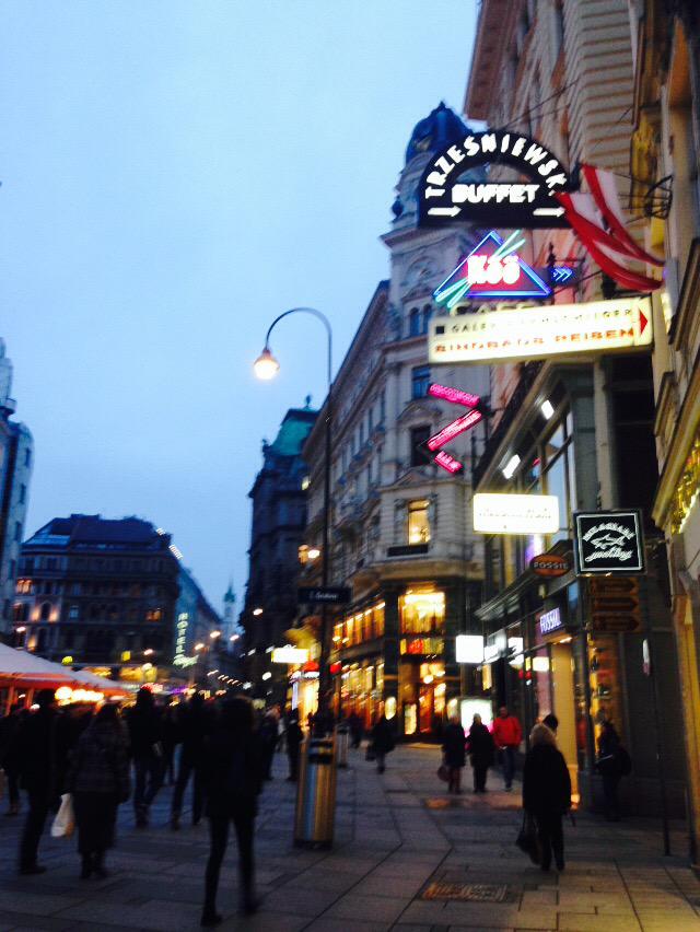 lonition's tweet photo. Really a lazy and enjoying city haha #Wien#Vinne http://t.co/cXCAnqO10P