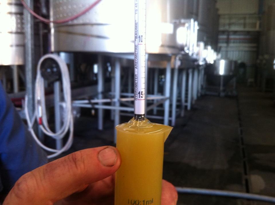 Viognier for sticky wine, so sweet we can't measure it! Is like drinking honey. Thanks Nick!
