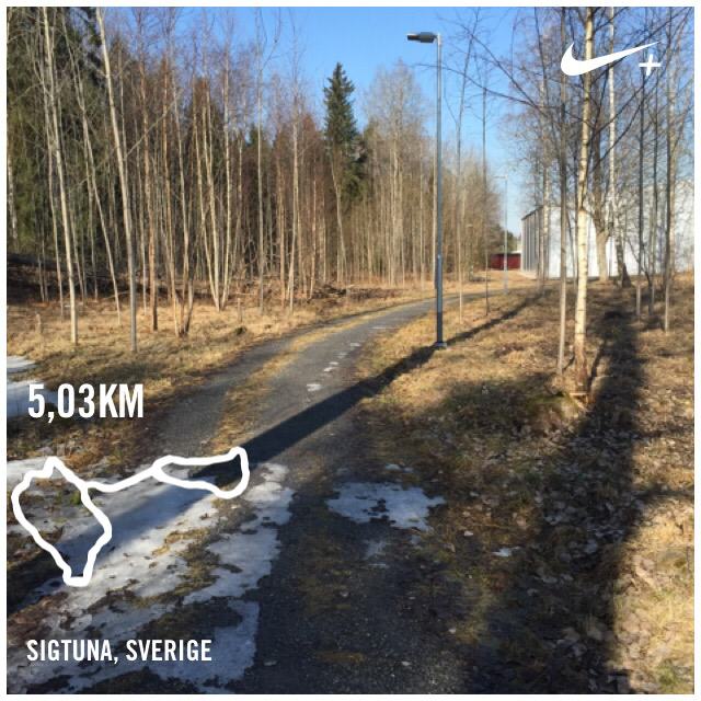 DNordbeck's tweet photo. Back on track  I just ran 5,03 km with Nike+. http://t.co/qKsZkbUMmc #nikeplus http://t.co/eA9Yam24Ak