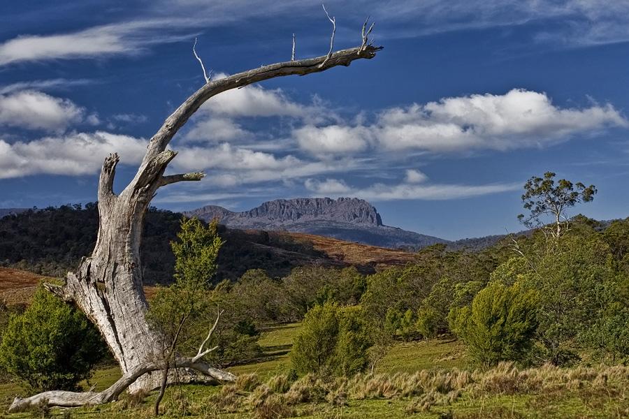 TasPhotos's tweet photo. .@AdventureTas Of course, I'll be the first to admit that I have a soft spot for the Ben Lomond Plateau #StacksBluff http://t.co/7CGdLRmq7h
