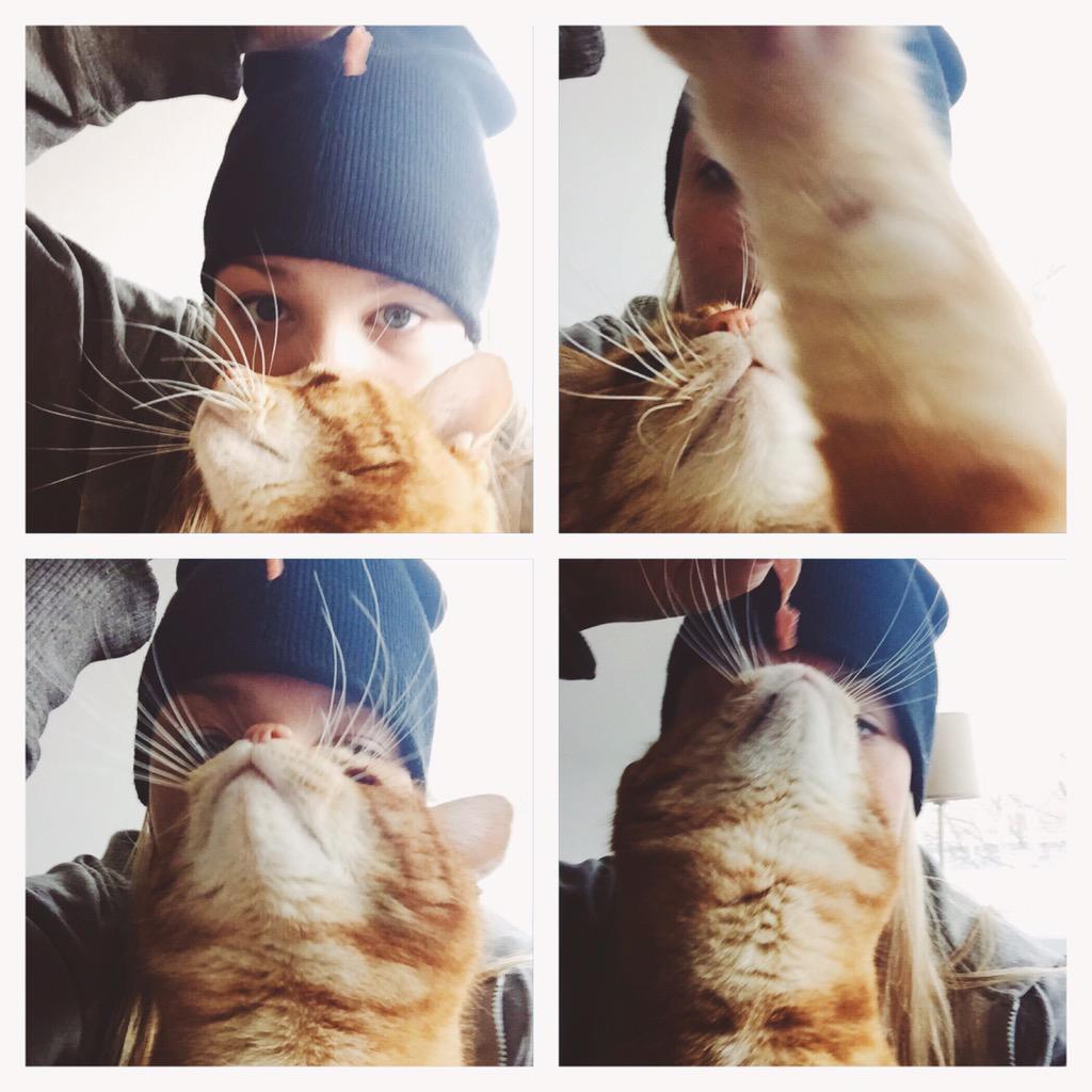 Kim_Amsterdam's tweet photo. Nailed it #catbearding http://t.co/CU3DLxa75D