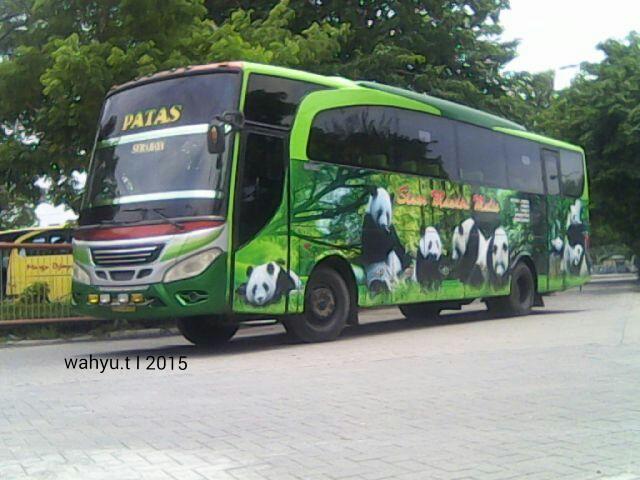 POsinarmandiri's tweet photo. Patas 7049 http://t.co/fO2HgYCPG9