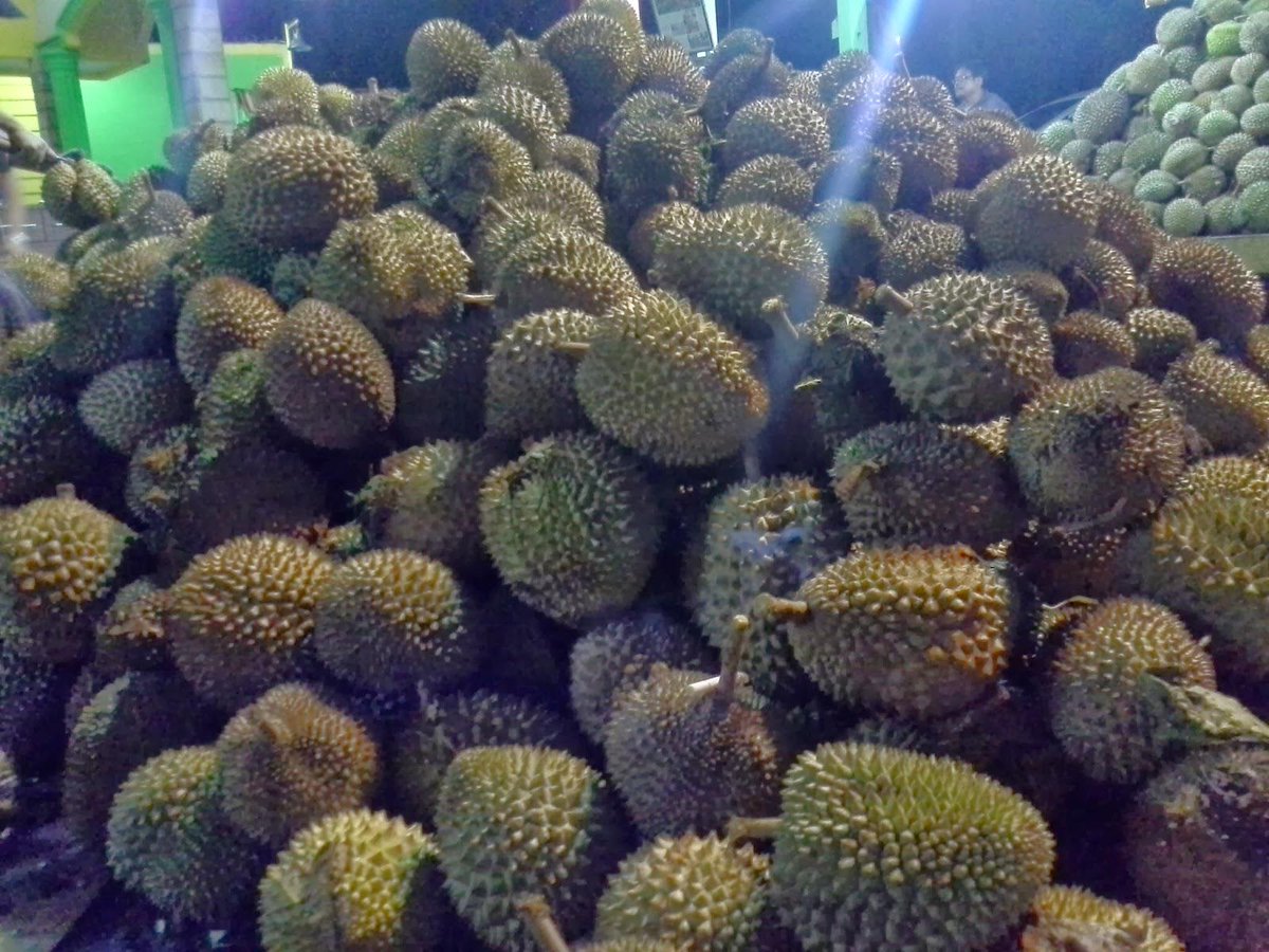 DurianRumah's tweet photo. Distributor Durian Terbesar di Medan
Minat call
082168108295
328f0bc6 http://t.co/Op5C9GKq1h
