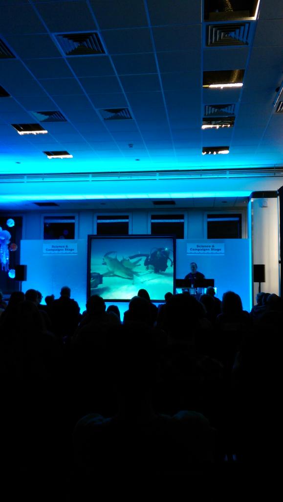 Scubography's tweet photo. @BrickellJames on filming dangerous animals at #Whalefest2015 http://t.co/2ZEXpPzC9C