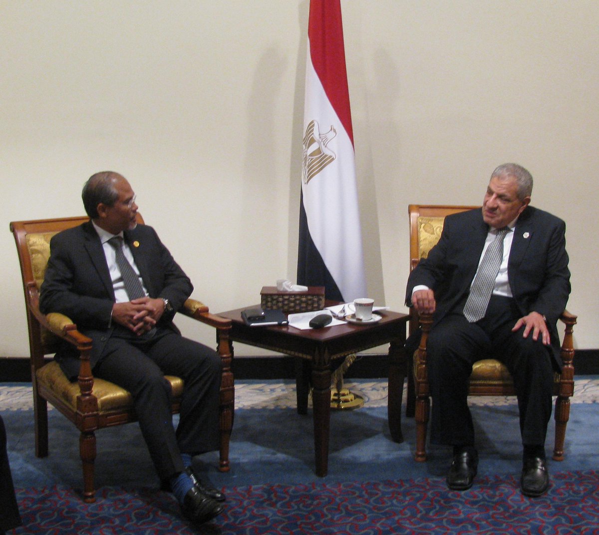 Singapore ready to share development expertise with Egypt | Veooz 360