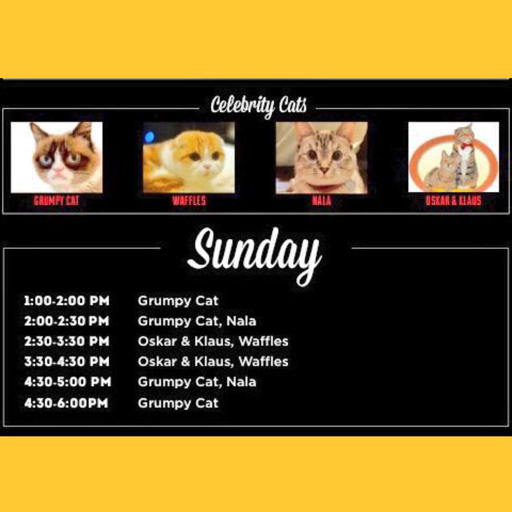 Less than 45 minutes until Grumpy Cat appears <a href="/Friskies/">Friskies</a> Haus of Bacon! #SXSW SXSWi #SXSW15 #CatDreamsComeTrue
