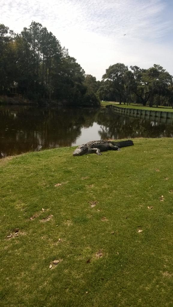 SDI_AI's tweet image. Whoa!