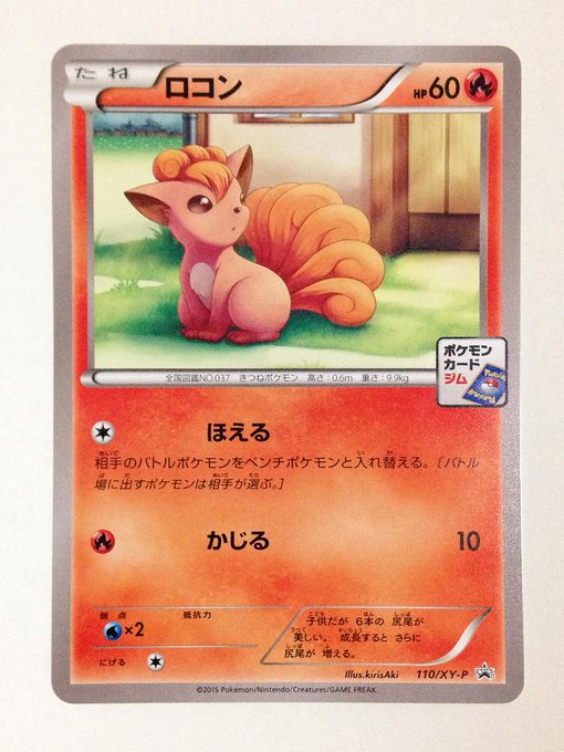 110 Xy P ロコン 第4弾 プロモーションカードパック Xy Pプロモリスト ポケブーン