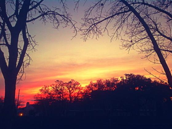 JonLH's tweet image. Another edit of evening sunset from last night. Tadaa Santa Cruz filter. #sunset #Texas #JonLH #aroundthehouse