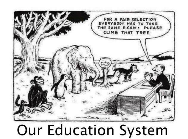 Dr_Xeffect's tweet image. #EducationSystem #sarcasm #unfairsystem #hilarious #schoolsystems #funny #loll #inequality #nonsense #Why #oursystem