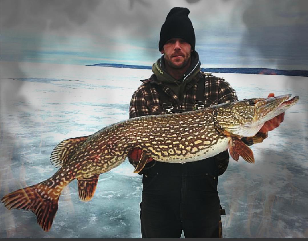 Bowhunter153's tweet photo. Finally caught the fish of my dreams. I've been fishing my ass off for a Pike like this 42 inches and 23 pounds. http://t.co/lzisDOGWBF