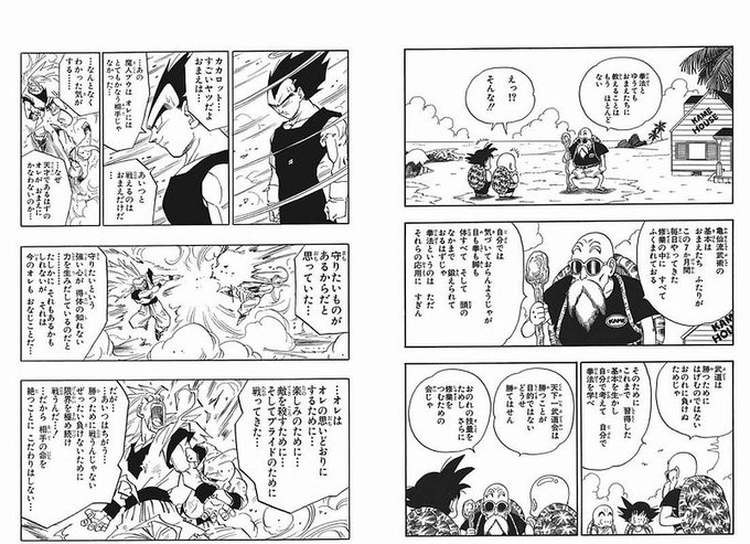 どこまで強くなっても根っこにあるのは亀仙流。やっぱ亀仙人は偉大だぁ。 