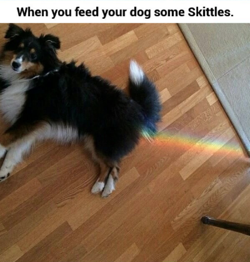 sorealpost's tweet photo. Taste the rainbow http://t.co/IWPM7UKiag