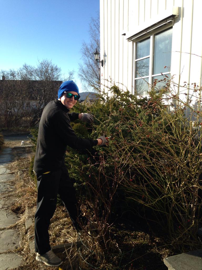 Vår i lufta i keegdalen. Eid bruker dagen til å trimme rosebusken og Jan serverer kaffe #liveterbestute .