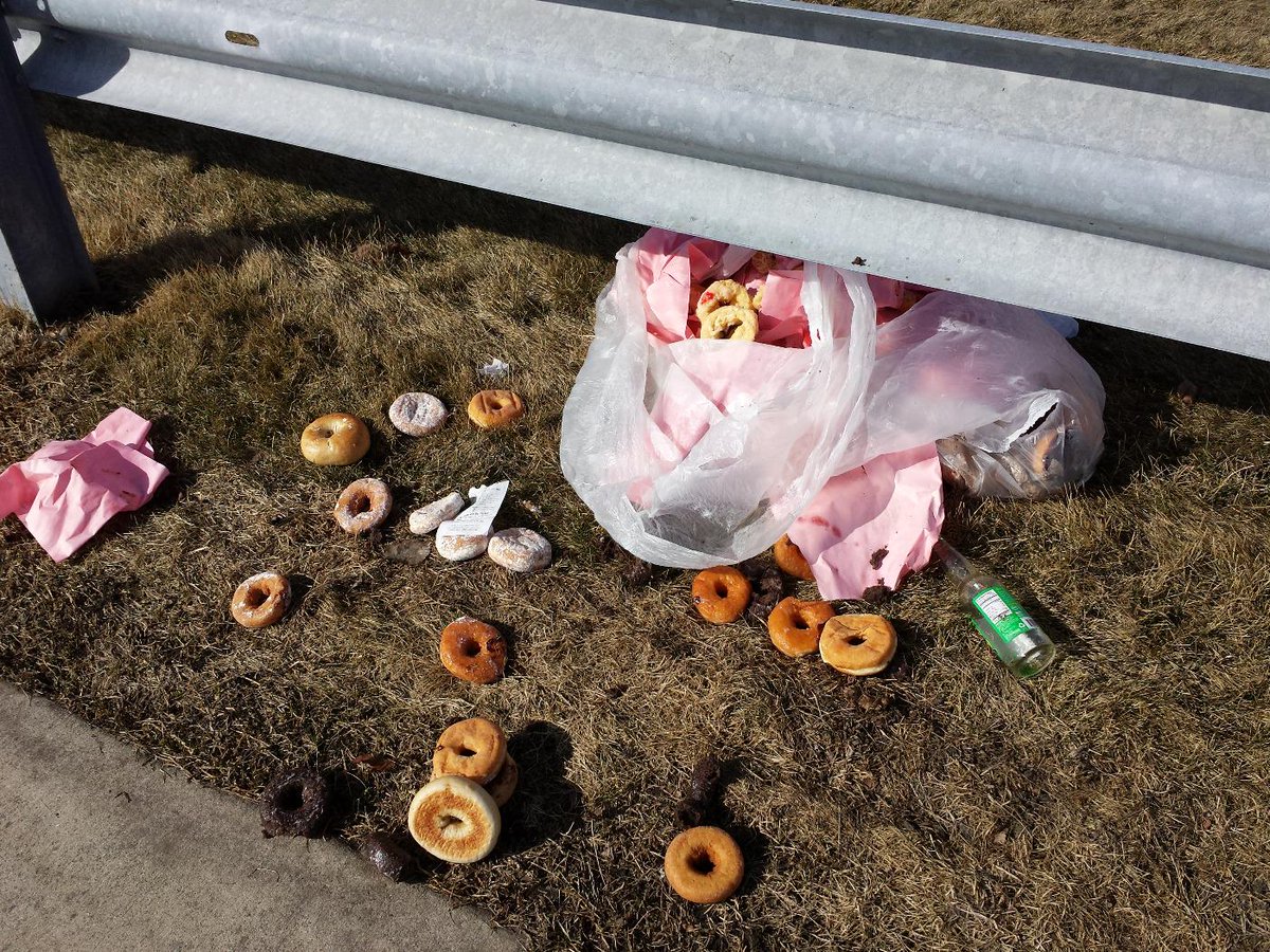 MegCHawk's tweet image. #musthavebeensomeparty #joggingpath