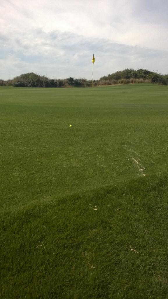 SDI_AI's tweet image. Lets get a birdie