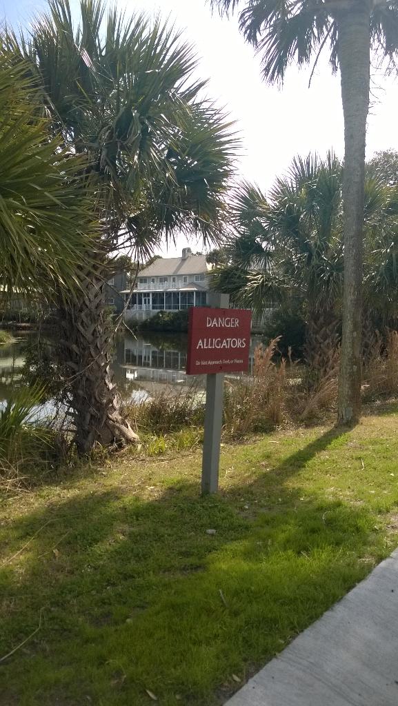 SDI_AI's tweet image. 