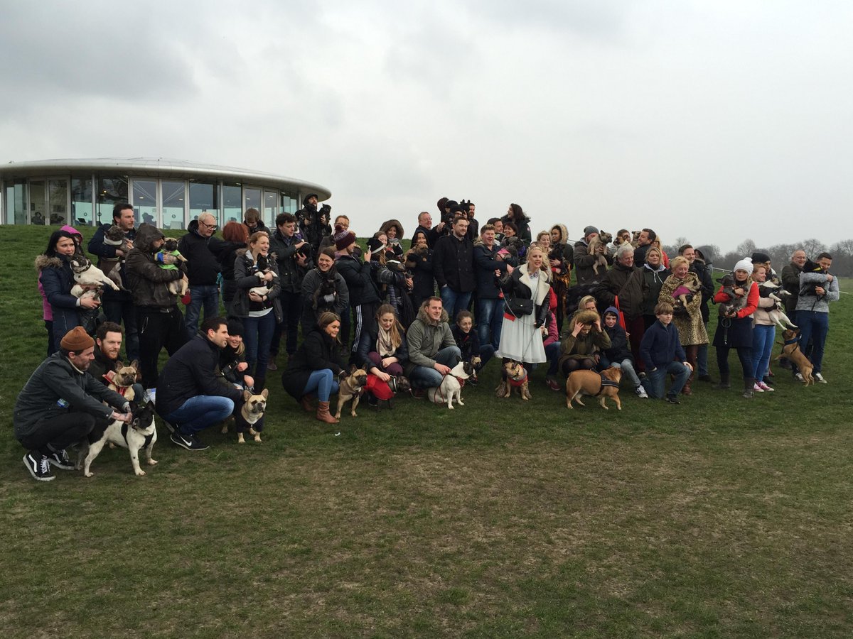 Dazza_68's tweet photo. Frenchie family outing, Regents Park. #frenchiemeet #frenchbulldog http://t.co/xixHzl9YMH