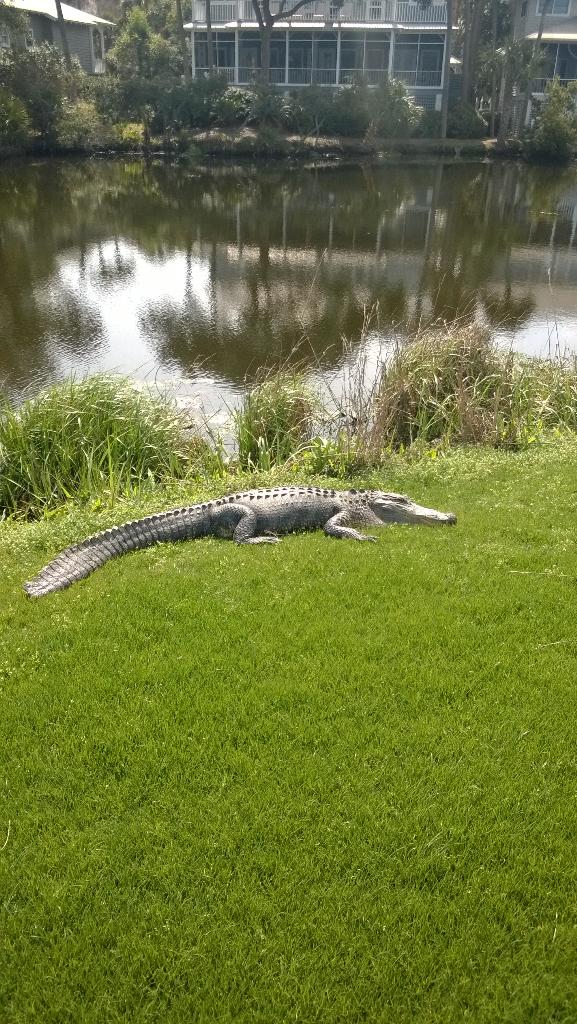 SDI_AI's tweet image. Maybe I shouldn&apos;t get to close