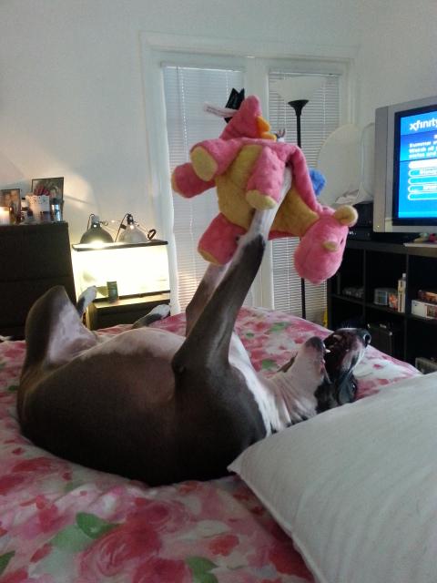 He loves his dragon:)