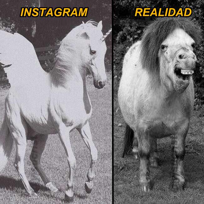 jezucrihto xd tweet media