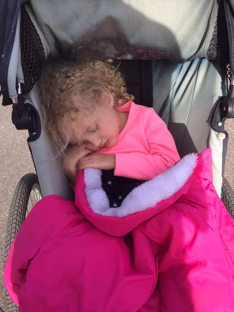 melissagacek's tweet image. My running partner fell asleep during our run #weebird @oiselle @oiselle_team #babyjogger #shakeoutrun