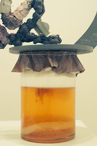 My #fermentationsculpture <a href="/oygprojects/">oygprojects</a> go see it today until 6pm at the old can factory gowanus