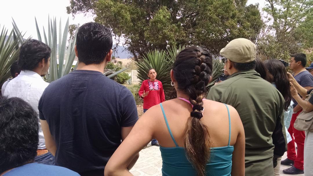 MezcanauticaOf's tweet photo. En las actividades de Mezcanautica, se encuentra el taller de mezcanautas con una visita al palenque. #Mezcal http://t.co/m7tfTLFAfu