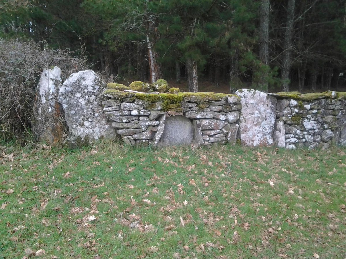 EUrtaza's tweet photo. Caminos rurales alrededores de Lugo con muros que son arte popular #ruralpath #corredoiras @natuyvolu @LdN_Esp http://t.co/ZdN768jBhd