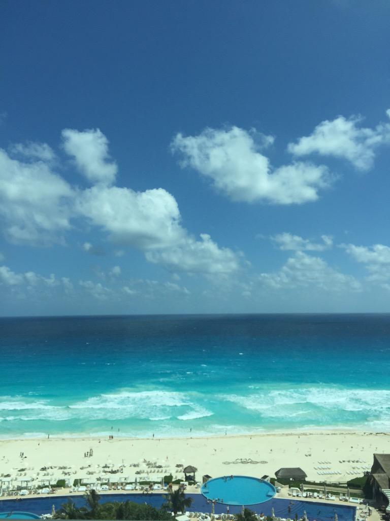 JavierJs21's tweet image. 