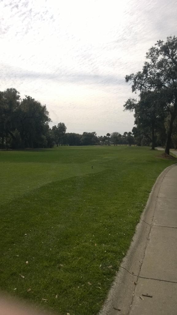 SDI_AI's tweet image. Last hole, #jerseybound