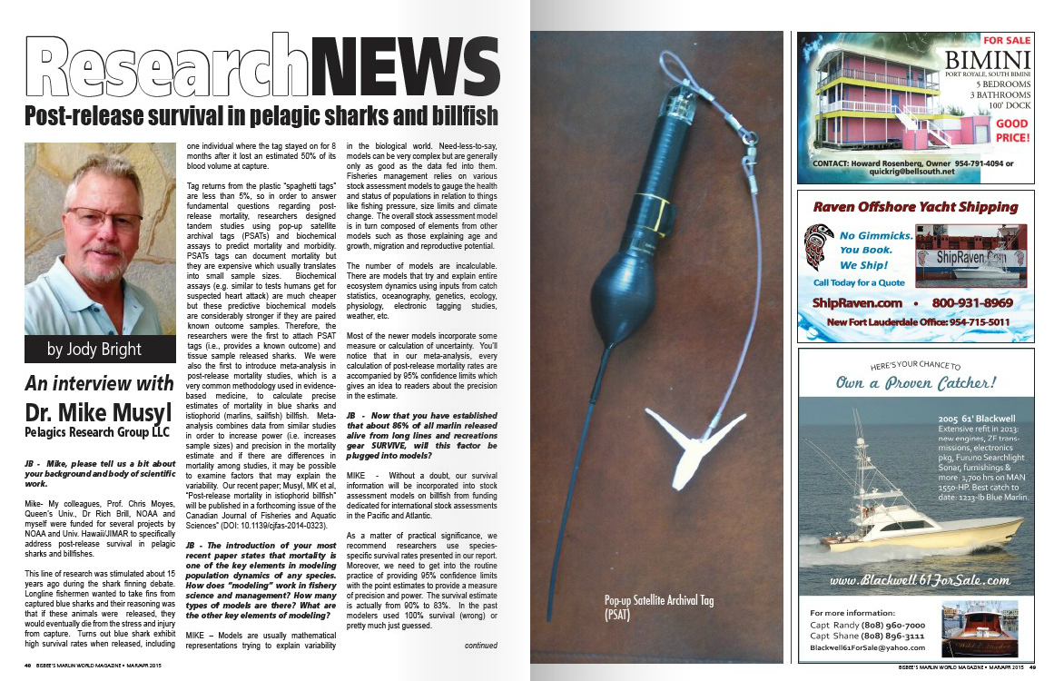 marlinworld's tweet image. RESEARCH NEWS!! Post-release survival in #Pelagic #Sharks and #Billfish by Jody Bright » goo.gl/DIIS2D