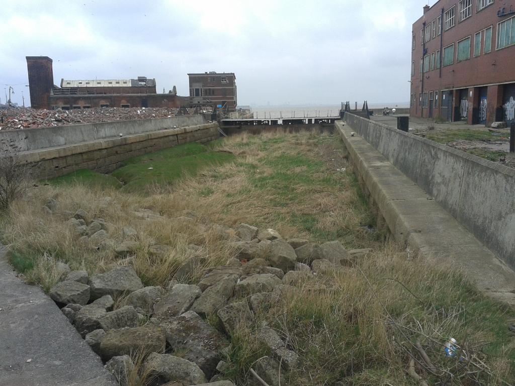 Embedded image permalink