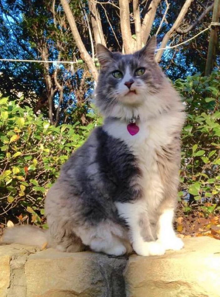StumblerTop's tweet photo. When someone you don't like tries to talk to you http://t.co/EbbIPZhHJT