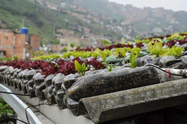 aggregatte's tweet image. Techo verde: Los tejados que dan comida ow.ly/K5z3p Vía @EcoInventos #TOPweekGGTT