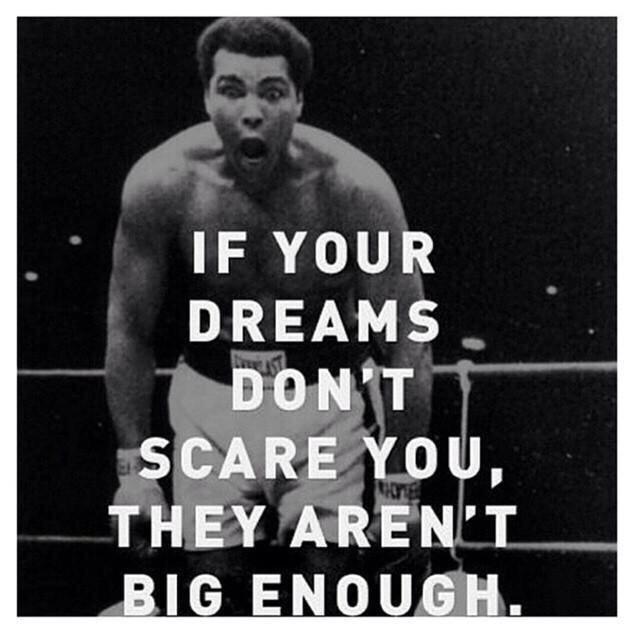 thfc2015's tweet image. 