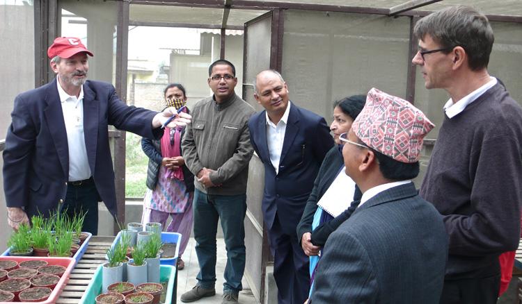 CornellGlobal's tweet photo. Protecting #wheat frm rust in #Nepal >40 scientists/trainees  @SAARCNepal @CIMMYT #SAARC2015
http://t.co/9M6zl8QqH5 http://t.co/lYqoPxgNZl