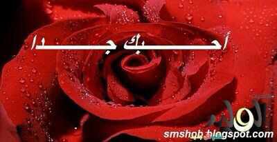 Dreyd (@dreyd1) on Twitter photo 