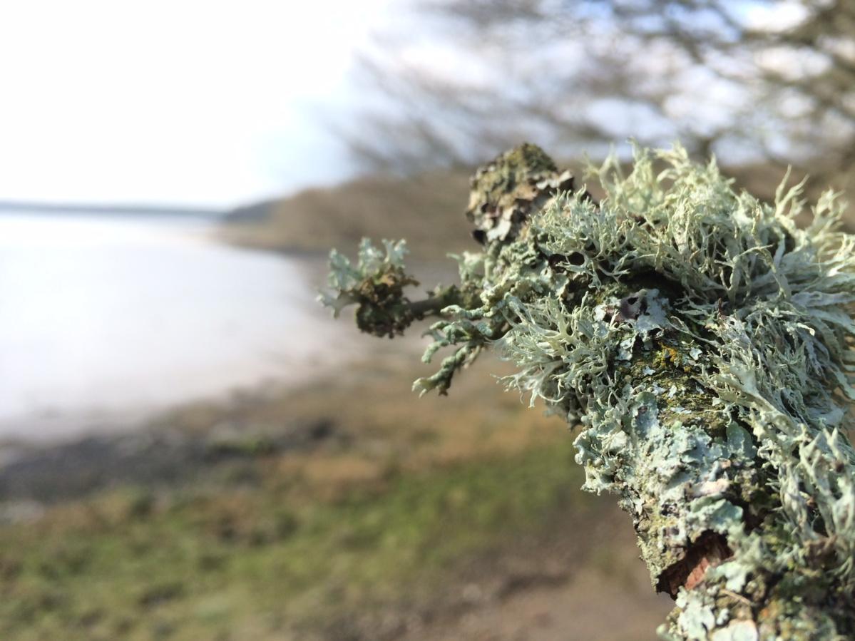 Looking down the Rhos
