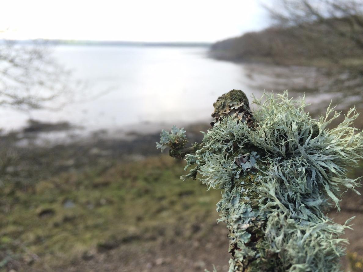 Team Manager (@garethbsm) on Twitter photo 